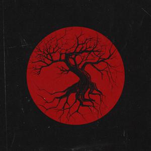 老外毛片免费视频播放
