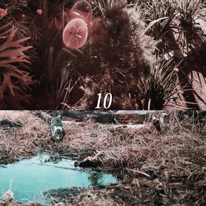 老外毛片免费视频播放
